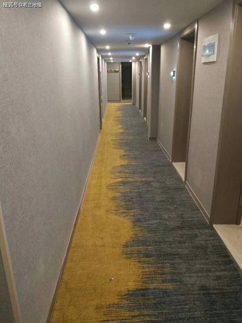 尼龙印花地毯产品介绍 若兰地毯 来图可制作 工厂批发免费供样